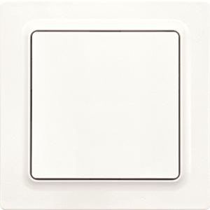 Draadloze EnOcean pulsdrukker,2-kanaals,E-Design,55x55