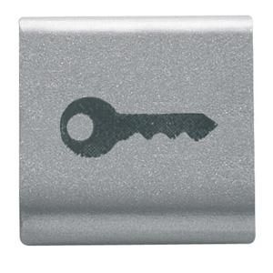 UITWISSELBARE DRUKKNOP-22 X 22 mm-SLEUTEL-TITANIUM-C VVE=4