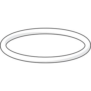 O-ring 59911479