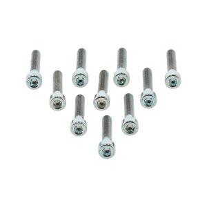 Schroef CHC M5X30/22 8.8 ZN8