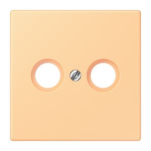 Afdekking CAI 2-gats LC4320P