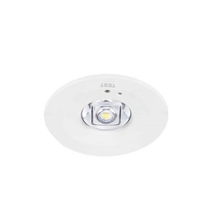 Downlight LIFESAFE RA inbouw EM3 NM zelftest