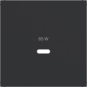 Centraalplaat voor USB-C-contactdoos A.x/C.x nachtzwart mat