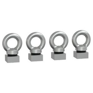 Set van 4 Spacial SM M12 hijsogen Roestvrijstaal Spacial