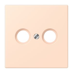 Afdekking CAI 2-gats LC32091