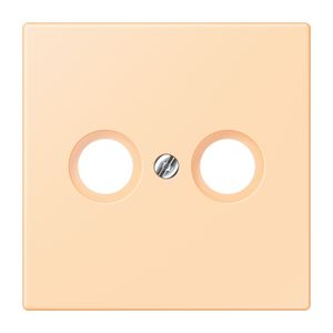 Afdekking CAI 2-gats LC32060