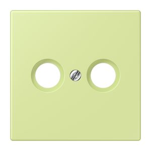 Afdekking CAI 2-gats LC32053