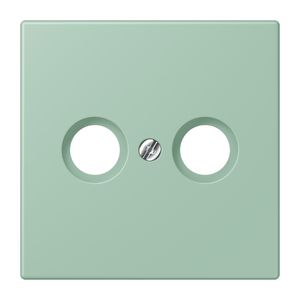 Afdekking CAI 2-gats LC32041