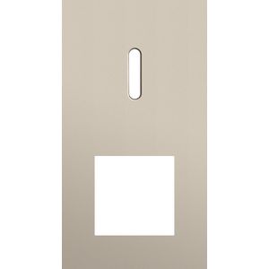 Afdekplaat 2-voud vertic. 71mm centerafst 166-56855