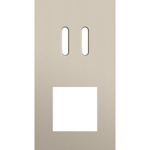 Afdekplaat 2-voud vertic. 71mm centerafst 166-56856