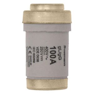 Zekering laagspanning 100A AC 400V D03 gL/gG traag VVE=10