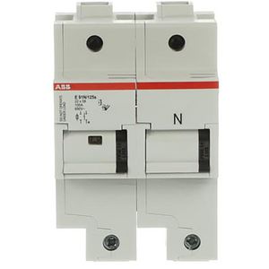 Zekeringhouder voor 22 x 58mm zekeringen 1p+N max 100A+indic