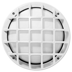 Wand en plafondarmatuur 1x100W IAA symm. extra verspeidende