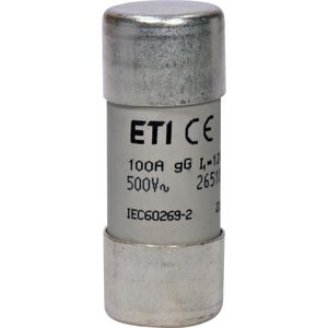 Cylindrische zekering CH22 aM 100A 500V 22x58 VVE=10