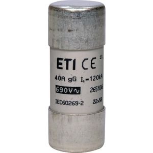 Cylindrische zekering CH22 aM 40A 690V 22x58 VVE=10