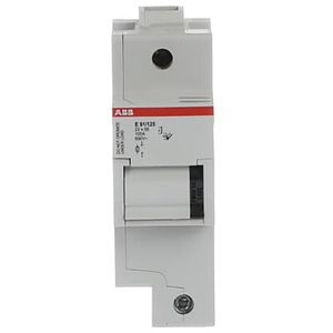 Zekeringhouder voor 22 x 58mm zekeringen 1p max 100A