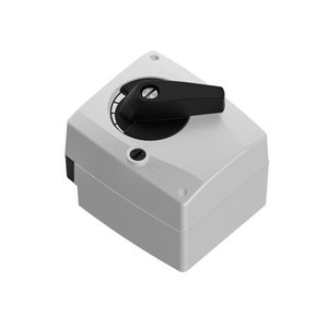 MB Servomotor FL-MK DN65