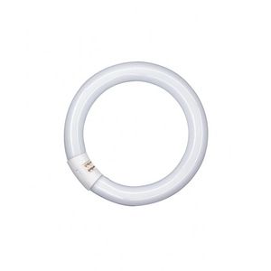 TL-buis T9 C 40W 840 G10Q