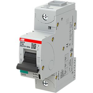 Installatieautomaat 50kA 100A C-karakteristiek 1-polig