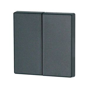 Schakelwip 2-voudig mat zonder LED antraciet VVE=10
