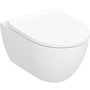 Wandcloset combipack ACANTO diepspoel rimfree 530mm TurboFlush incl. zitting softclose / quickrelease Geberit