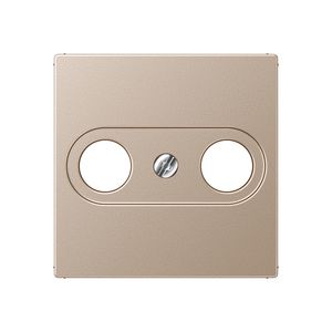 Afdekking TV-FM 2-gats A500 champagne