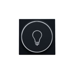 Afwerkingsset doorschijnende ring lampsymbool 6A black c.