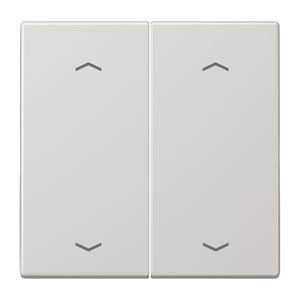Wip LS990 lichtgrijs pijl v.KNX F10 taster 2voudig