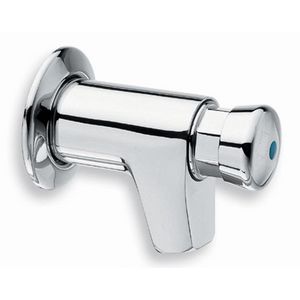 Wandmodel chroom roset zelfsluitend capaciteit