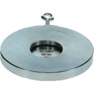 Terugslagklep DN65 PN6 GB312