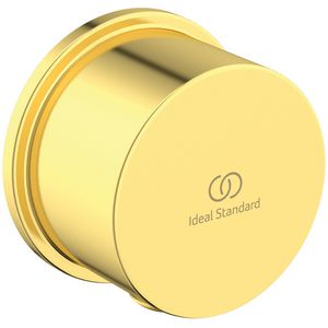 IRAIN WALL ELBOW CYL 1/2"CONN brushed gold (mat goudkleurig)