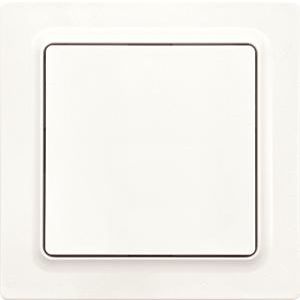 Draadloze EnOcean schakelaar,E-Design,55x55 mm,polar wit mat