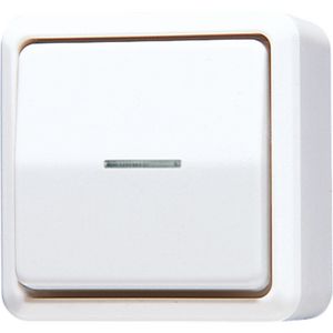 Wipcontroleschakelaar AP600 a.wit wissel