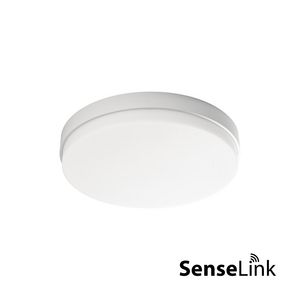 Prodisc III Mini opbouw 267 mm max 9.5 W wit