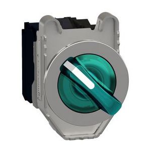Illum.selector switch Flush mounted metal green 30 2 pos