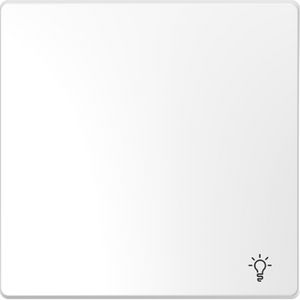Wisselwip + licht symbool lotuswit Systeem D