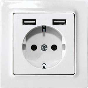Wandct.doos m. randaarde,E-Design,55x55 mm,2x USB-A,helder