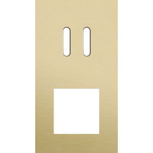 Afdekplaat 2-voud vertic. 71mm centerafst 227-56856