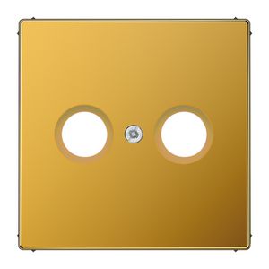 Afdekking goud 24 karaat voor CAI LS