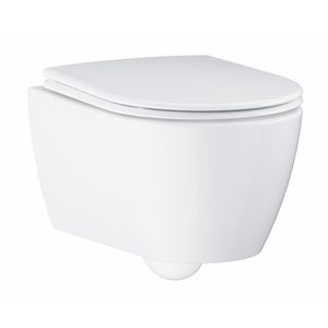 Toilet hangend essence