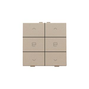 Dubbele motorsturingsbediening Home Control champagne