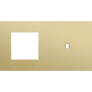 Afdekplaat 2-voud horiz. 71mm centerafst. 227-57806