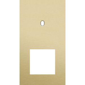 Afdekplaat 2-voud vertic. 71mm centerafst 227-57855