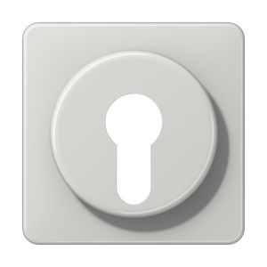 Afdekking li.gr.voor sleutelschakelaar CD500