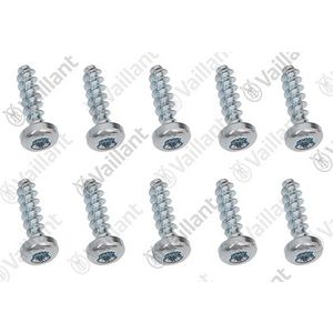 Set a 10st. Schroef 0020213148