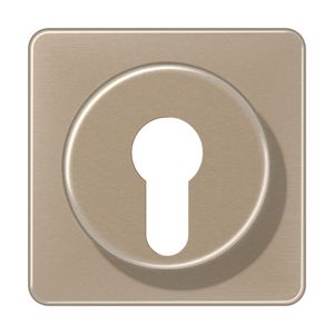 Afdekking go.br voor sleutelschakelaar CD500