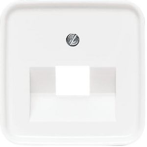 Centraalplaat voor datadoos 1 x RJ45 R-alpin (1803-214)