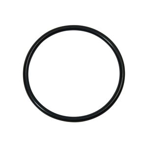 O-ring 0020123968