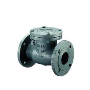 Terugslagklep PN16 DN50