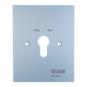 Centraalplaat afdekraam 125x100mm met pijlsymbool